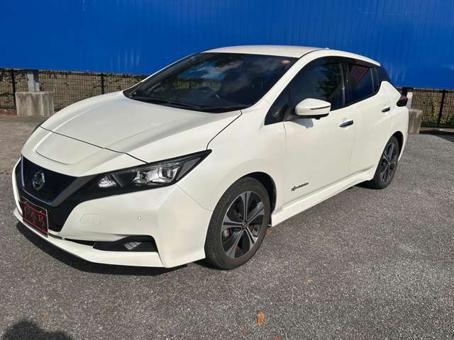 日産 リーフ Ｘ　Ｖセレクション R2年 (関東) 99