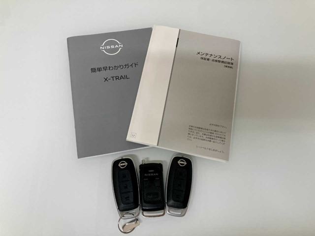 日産 エクストレイル １．５ Ｇ Ｅ－４ＯＲＣＥ ４ＷＤ R6年 (北海道) 99