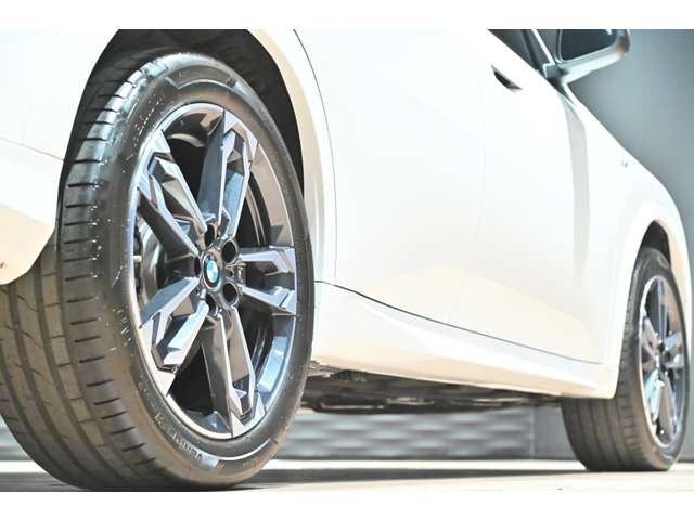 ＢＭＷ Ｘ２ Ｘドライブ２０Ｉ Ｍスポーツ ４ＷＤ R7年 (関東) 99