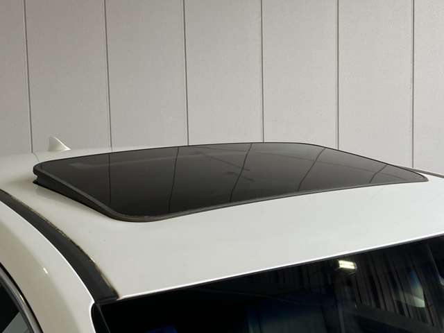 レクサス ＮＸ３００ｈ Ｉパッケージ H28年 (近畿) 99