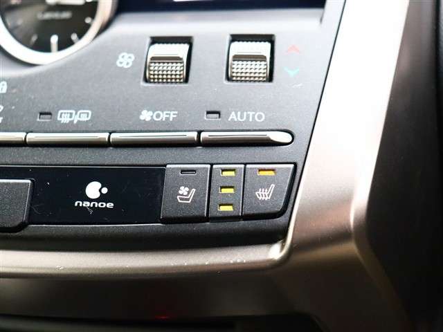 レクサス ＮＸ３００ ３００ Ｆスポーツ ４ＷＤ R2年 (関東) 99
