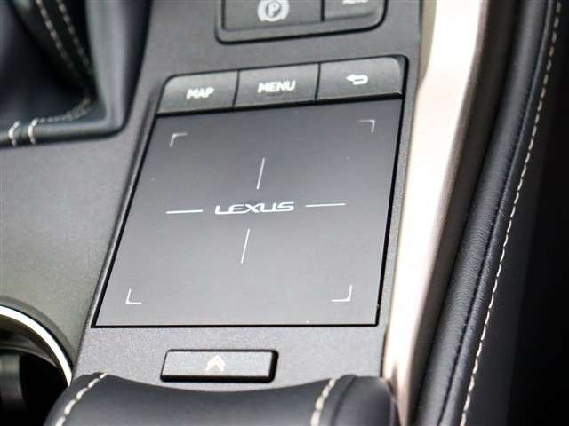 レクサス ＮＸ３００ ３００ Ｆスポーツ ４ＷＤ R2年 (関東) 99