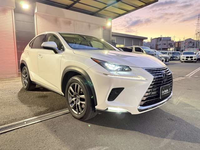 レクサス ＮＸ３００ バージョンＬ H30年 (近畿) 99