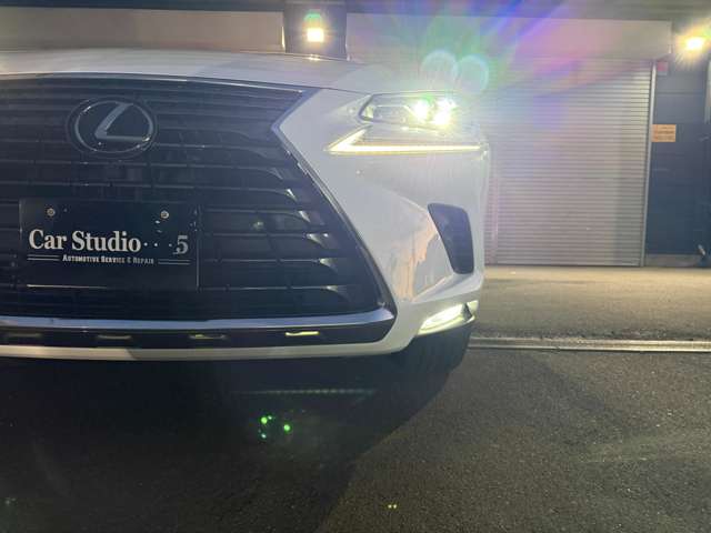 レクサス ＮＸ３００ バージョンＬ H30年 (近畿) 99