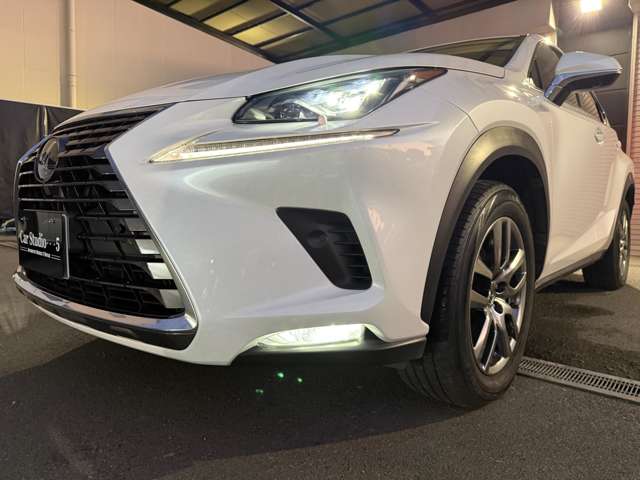 レクサス ＮＸ３００ バージョンＬ H30年 (近畿) 99