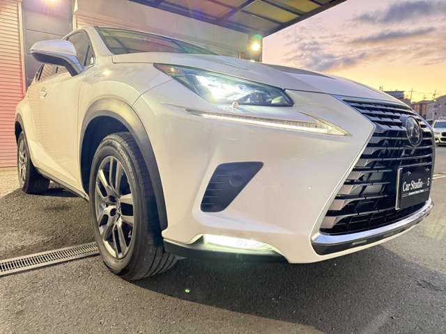 レクサス ＮＸ３００ バージョンＬ H30年 (近畿) 99