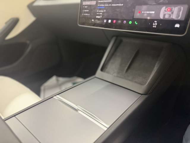 テスラ モデル３ ＲＷＤ R5年 (近畿) 99