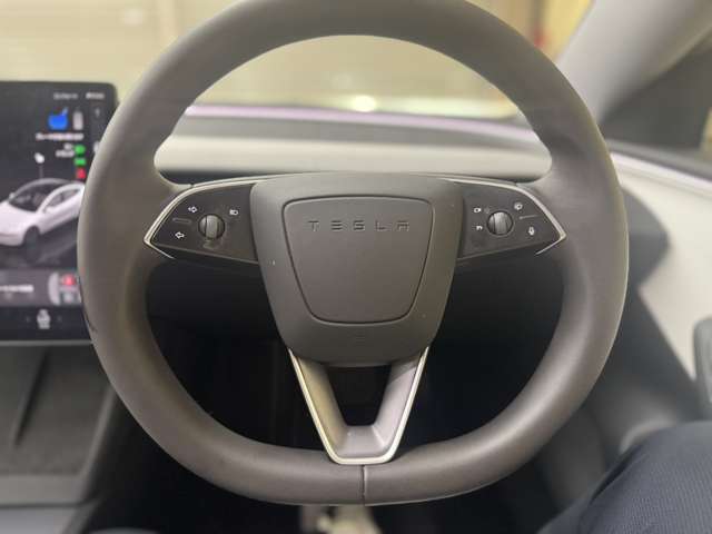 テスラ モデル３ ＲＷＤ R5年 (近畿) 99
