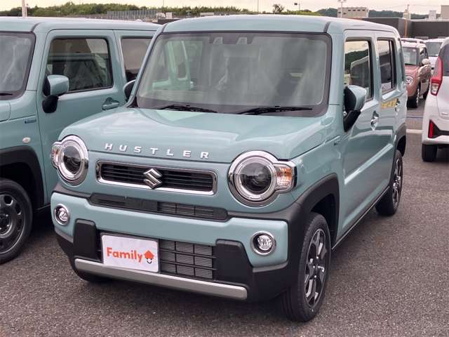 スズキ ハスラー ６６０ ハイブリッド Ｘ R8年 (東海) 99