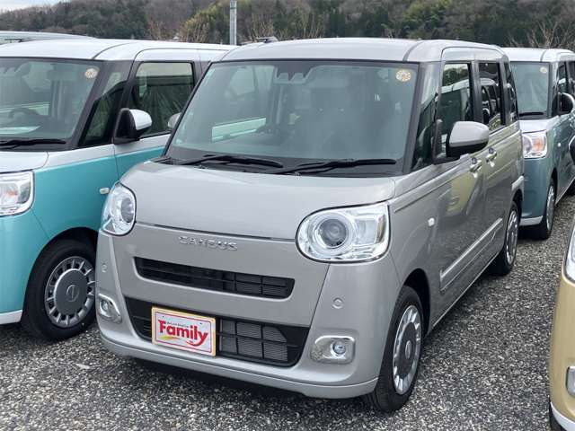 ダイハツ ムーヴ　キャンバス ６６０ セオリー Ｇ R7年 (東海) 99