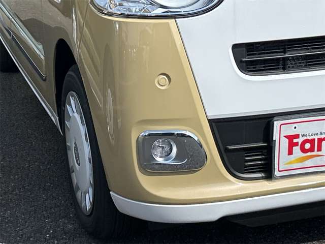 ダイハツ ムーヴ　キャンバス ６６０ ストライプス Ｇ R7年 (東海) 99