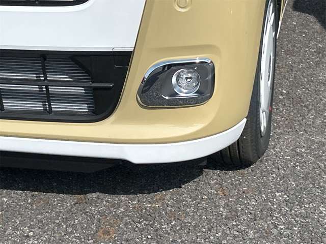 ダイハツ ムーヴ　キャンバス ６６０ ストライプス Ｇ R7年 (東海) 99
