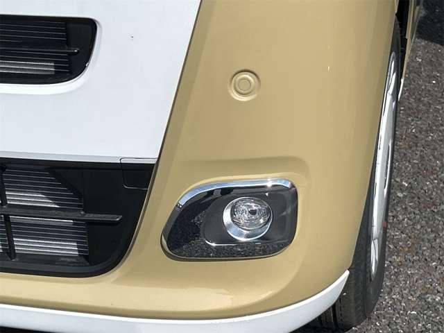 ダイハツ ムーヴ　キャンバス ６６０ ストライプス Ｇ R7年 (東海) 99