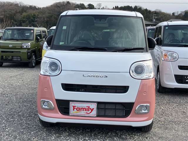 ダイハツ ムーヴ　キャンバス ６６０ ストライプス Ｇ R8年 (東海) 99