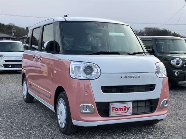 ダイハツ ムーヴ　キャンバス ６６０ ストライプス Ｇ R8年 (東海) 99