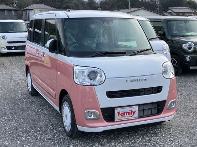 ダイハツ ムーヴ　キャンバス ６６０ ストライプス Ｇ R8年 (東海) 99