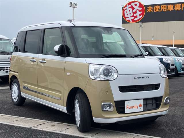 ダイハツ ムーヴ　キャンバス ６６０ ストライプス Ｇ R7年 (東海) 99