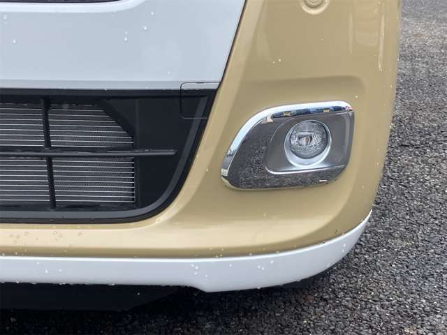 ダイハツ ムーヴ　キャンバス ６６０ ストライプス Ｇ R7年 (東海) 99