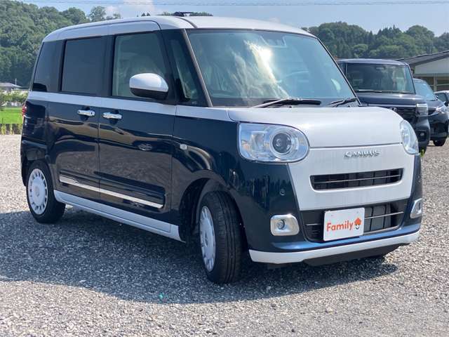 ダイハツ ムーヴ　キャンバス ６６０ ストライプス Ｇ R8年 (東海) 99