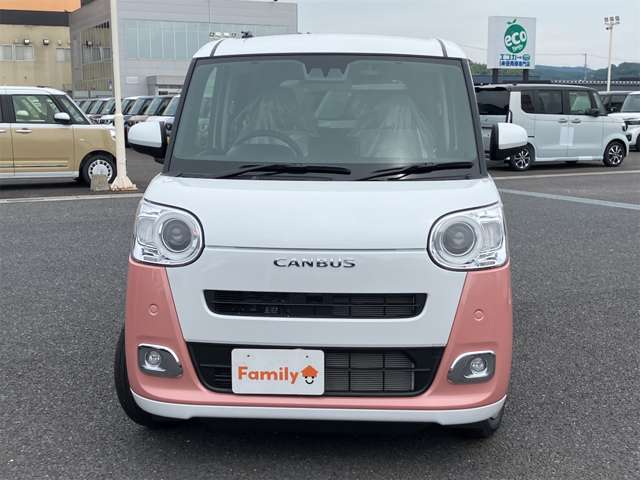 ダイハツ ムーヴ　キャンバス ６６０ ストライプス Ｇ R7年 (東海) 99