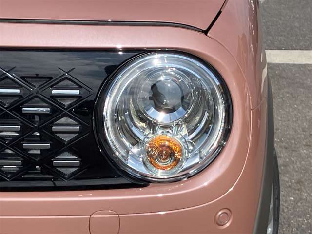 スズキ アルトラパン ６６０ ハイブリッド Ｘ R7年 (東海) 99