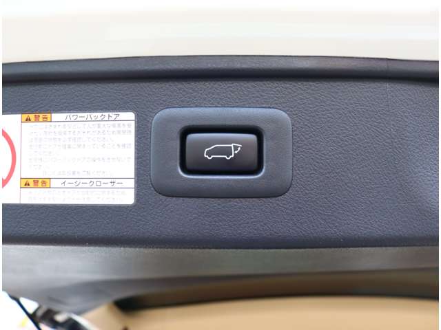 トヨタ ヴェルファイア ２．５ Ｖ H30年 (関東) 99