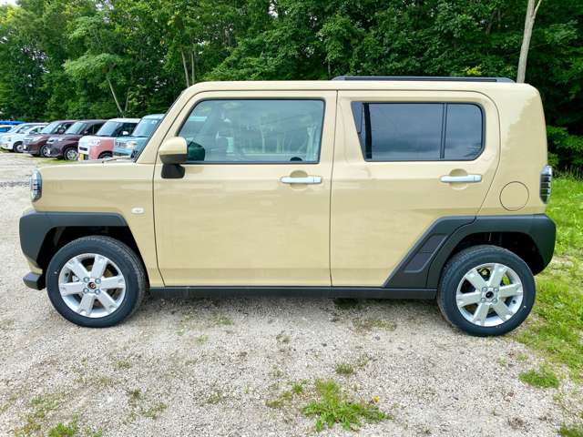 ダイハツ タフト ６６０ Ｇ ４ＷＤ R6年 (北海道) 99