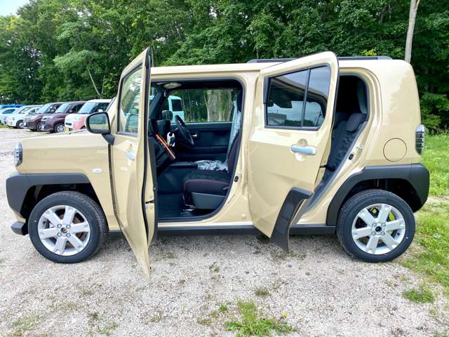 ダイハツ タフト ６６０ Ｇ ４ＷＤ R6年 (北海道) 99