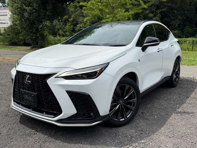 レクサス ＮＸ３５０ｈ Ｆスポーツ R5年 (近畿) 99