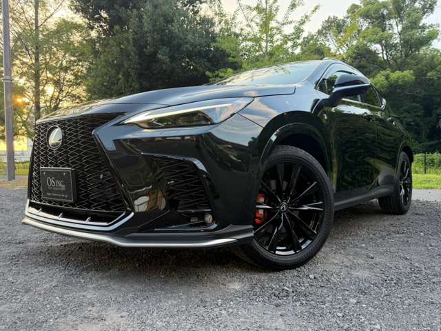 レクサス ＮＸ３５０ｈ Ｆスポーツ R7年 (近畿) 99