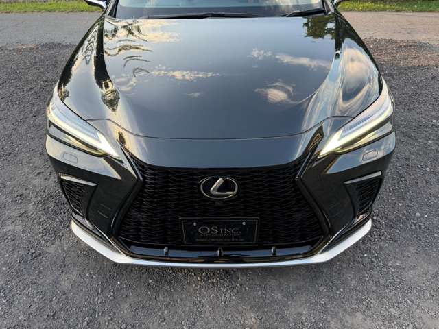 レクサス ＮＸ３５０ｈ Ｆスポーツ R7年 (近畿) 99