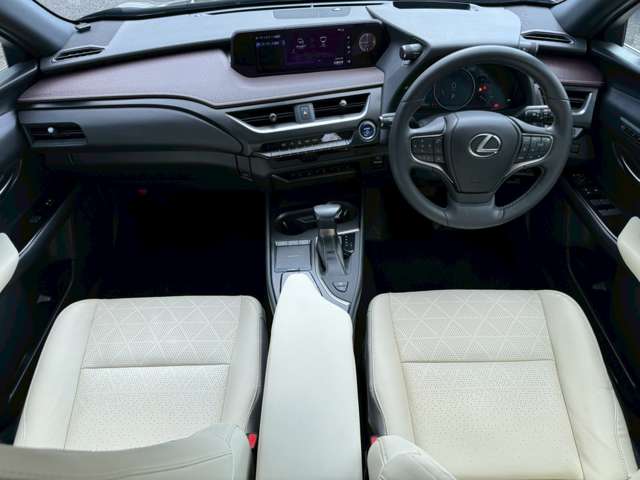 レクサス ＵＸ２５０ｈ バージョンＬ R2年 (近畿) 99