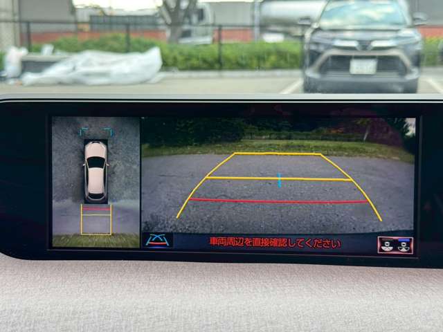 レクサス ＵＸ２５０ｈ バージョンＬ R2年 (近畿) 99