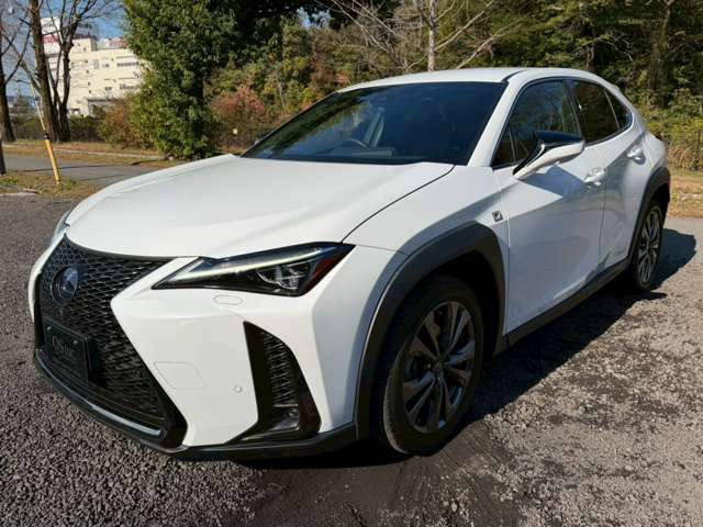 レクサス ＵＸ２５０ｈ Ｆスポーツ R1年 (近畿) 99
