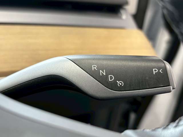 テスラ モデル３ ロングレンジ R3年 (甲信越・北陸) 99