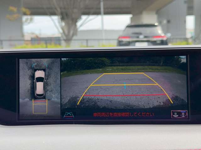 レクサス ＵＸ２５０ｈ Ｆスポーツ R2年 (近畿) 99