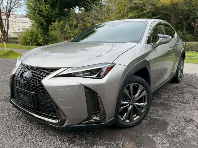 レクサス ＵＸ２５０ｈ Ｆスポーツ R2年 (近畿) 99