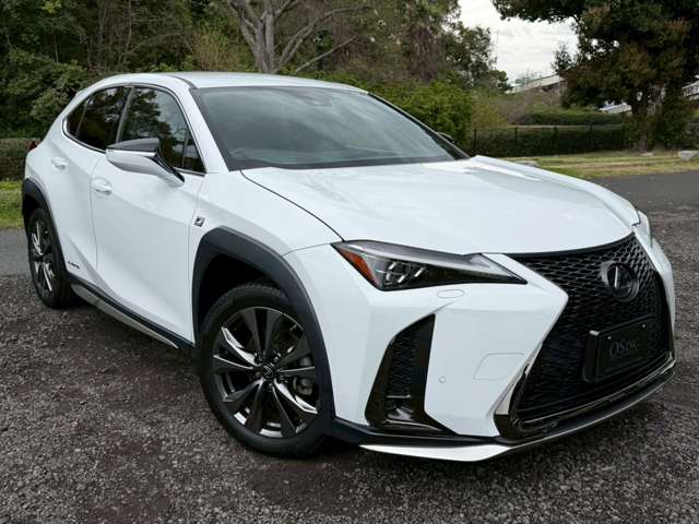 レクサス ＵＸ２５０ｈ ２５０Ｈ Ｆスポーツ ４ＷＤ R1年 (近畿) 99