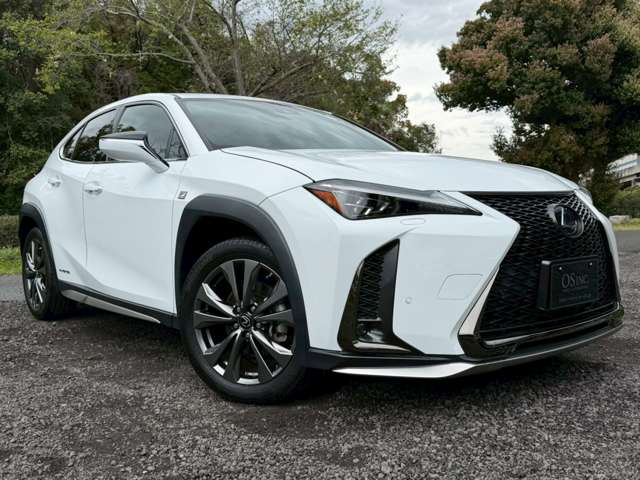 レクサス ＵＸ２５０ｈ ２５０Ｈ Ｆスポーツ ４ＷＤ R1年 (近畿) 99