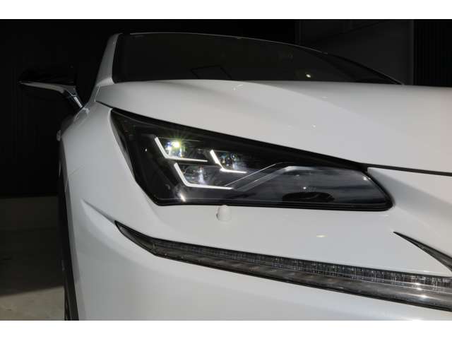 レクサス ＮＸ３００ Ｆスポーツ R2年 (東北) 99