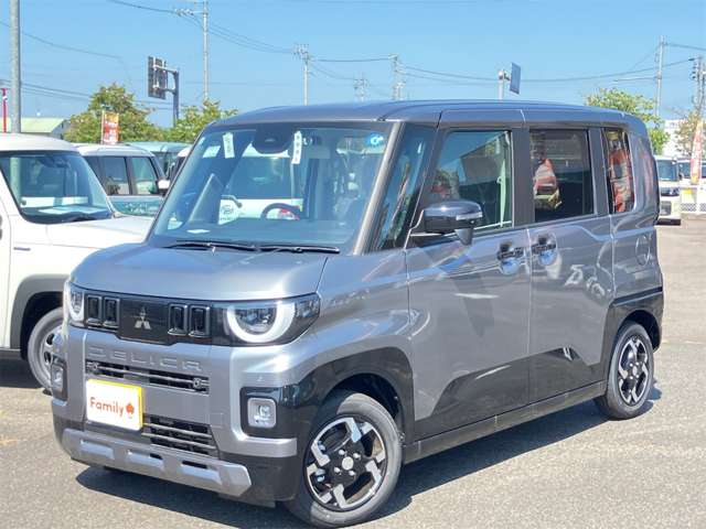 三菱 デリカ　ミニ ６６０ Ｇ R8年 (東海) 99