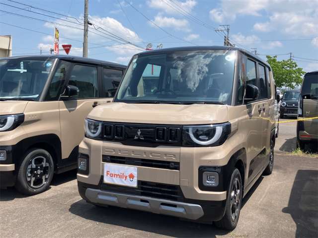 三菱 デリカ　ミニ ６６０ Ｇ プレミアム デリマル パッケージ R8年 (東海) 99