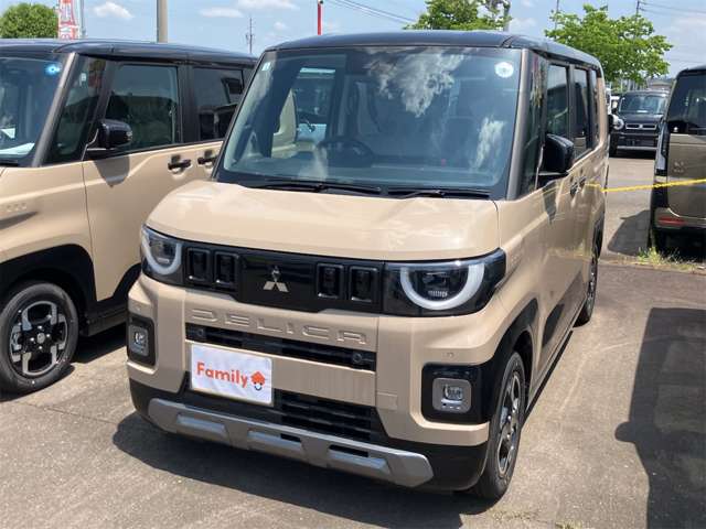 三菱 デリカ　ミニ ６６０ Ｇ プレミアム デリマル パッケージ R8年 (東海) 99