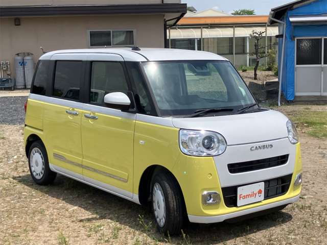 ダイハツ ムーヴ　キャンバス ６６０ ストライプス Ｇ R8年 (東海) 99