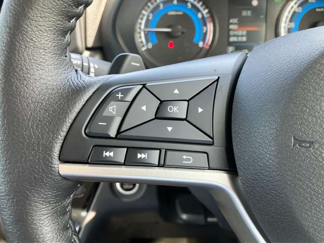 三菱 デリカ　ミニ ６６０ Ｔ プレミアム R7年 (関東) 99