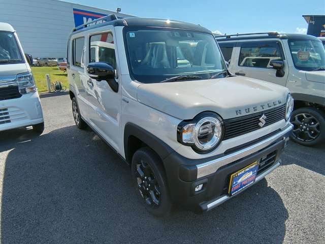 スズキ ハスラー ６６０ タフワイルド R7年 (関東) 99