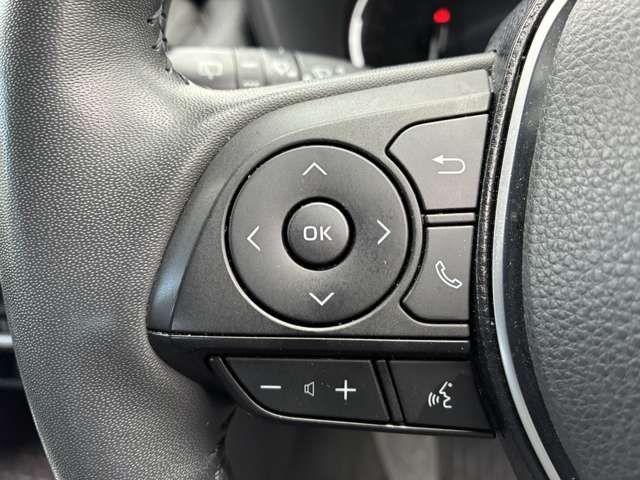 トヨタ ＲＡＶ４ ２．０ Ｇ ４ＷＤ R3年 (東海) 99