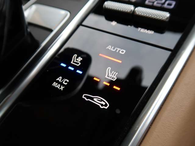 ポルシェ パナメーラ １０イヤーズ エディション ＰＤＫ R2年 (関東) 99
