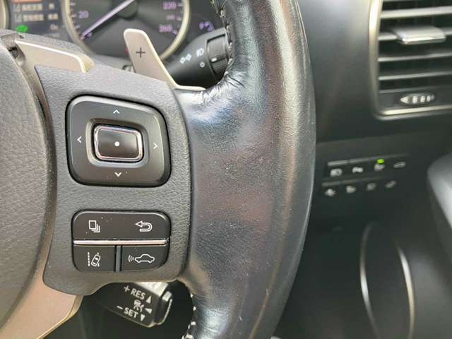 レクサス ＮＸ３００ｈ バージョンＬ H27年 (四国) 99