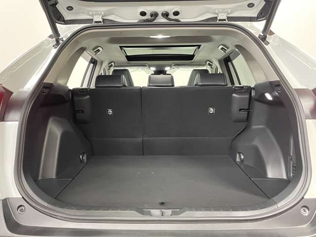 トヨタ ＲＡＶ４ ２．０ Ｇ ４ＷＤ R5年 (甲信越・北陸) 99
